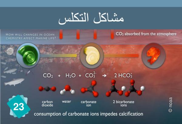 Calcification difficulties