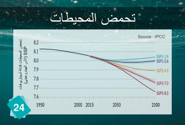 Ocean Acidification