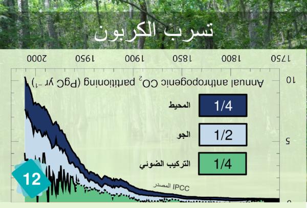 تسرب الكربون