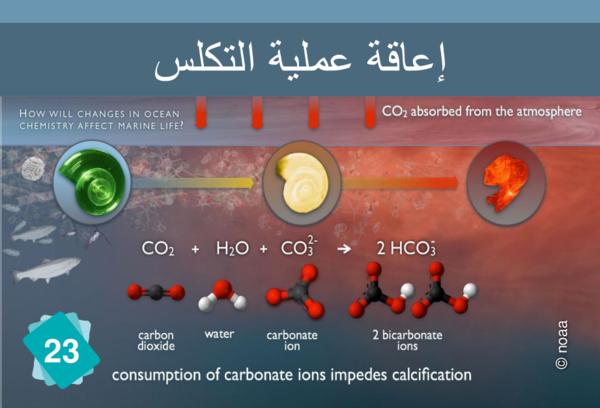 إعاقة عملية التكلس