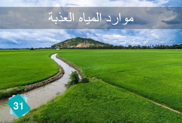 ذوبان الأنهار الجليدية