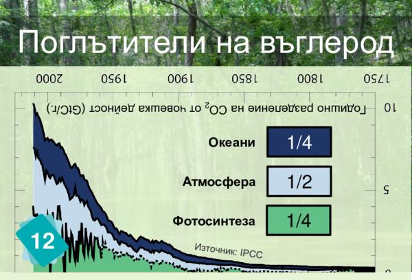 Поглътители на въглерод