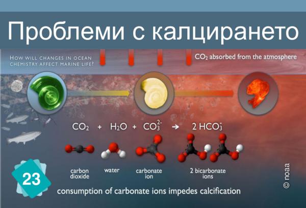 Проблеми с калцирането