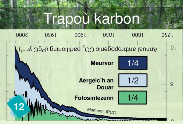 Carbon Sinks