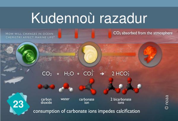 Calcification difficulties