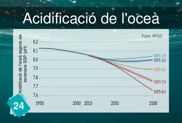 Ocean Acidification