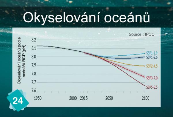 Okyselování oceánů