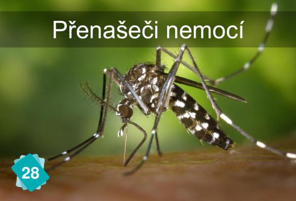 Přenos nemocí