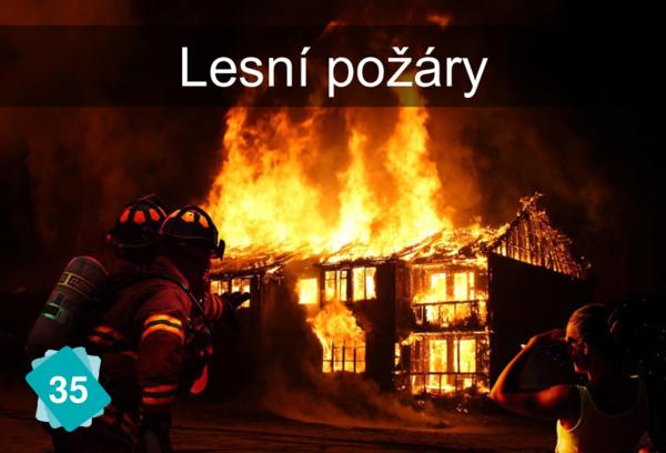 Lesní požáry