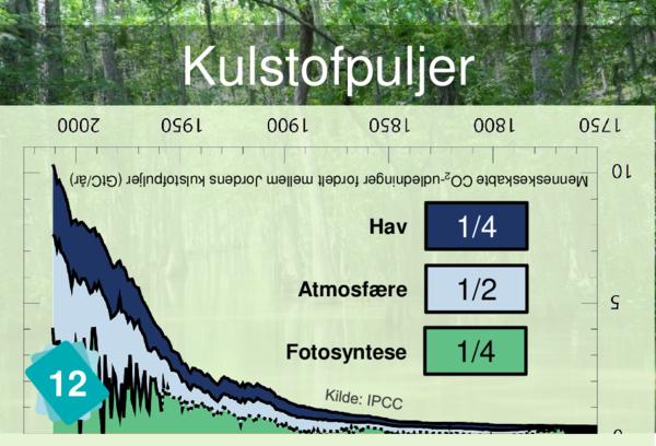 Kulstofpuljer