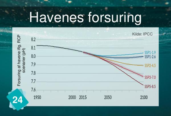 Havenes forsuring