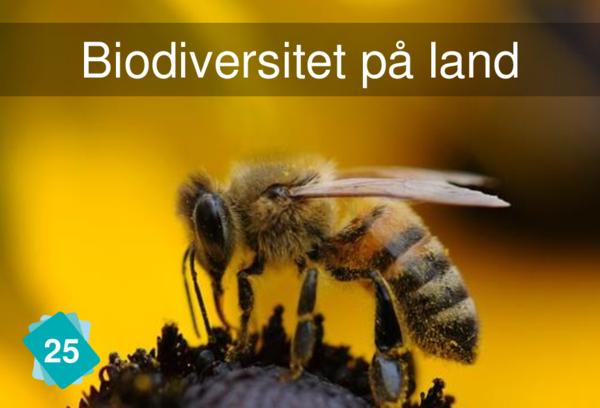 Biodiversitet på land