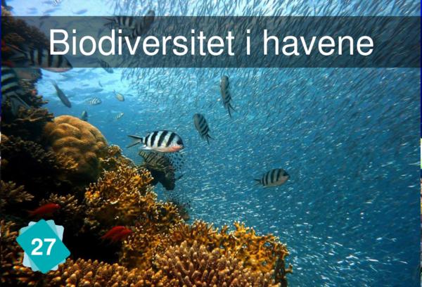 Biodiversitet i havene