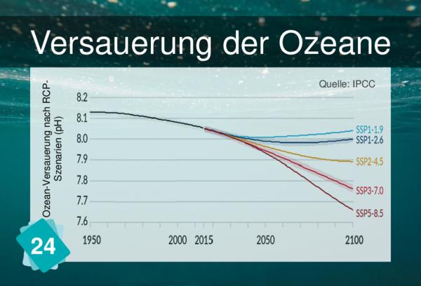 Versauerung der Ozeane