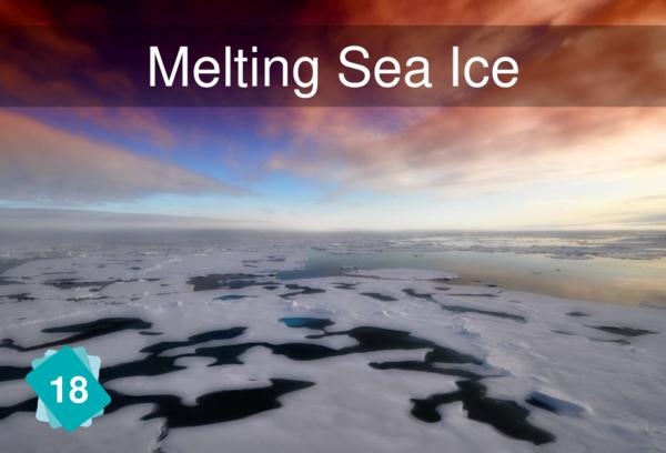 Melting Sea Ice