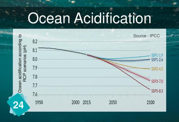 Ocean Acidification