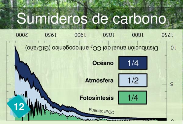 Sumideros de carbono