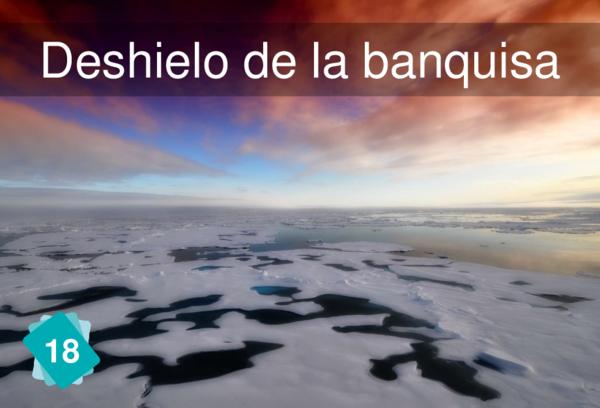 Deshielo de la banquisa