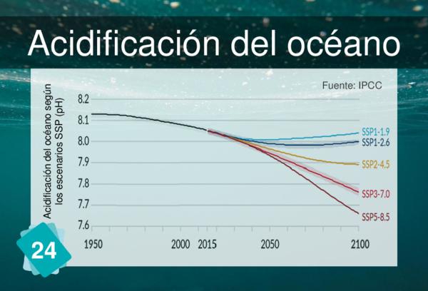 Acidificación del océano