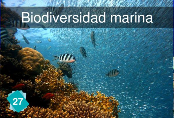 Biodiversidad marina