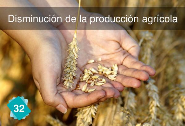 Disminución de la producción agrícola