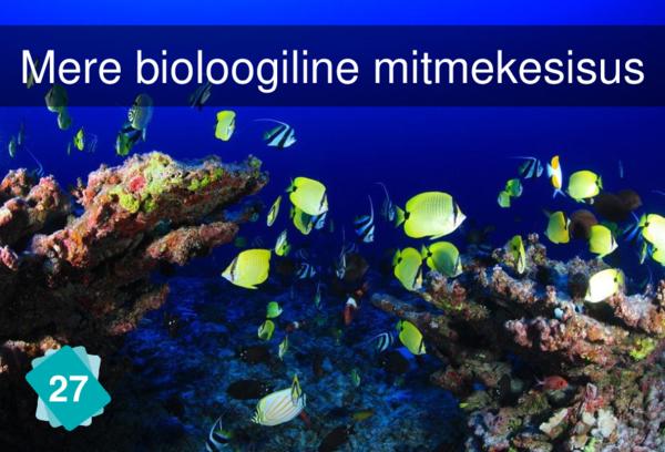 Marine Biodiversity