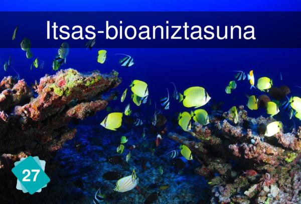 Itsas-bioaniztasuna