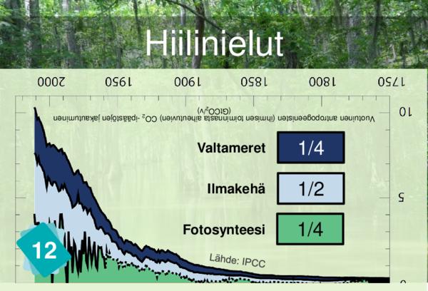 Carbon Sinks