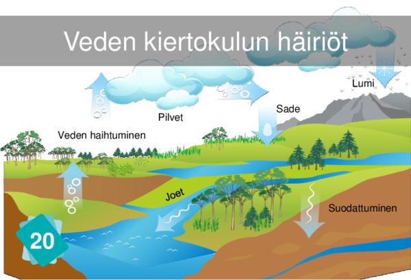 Rising Water Temperature