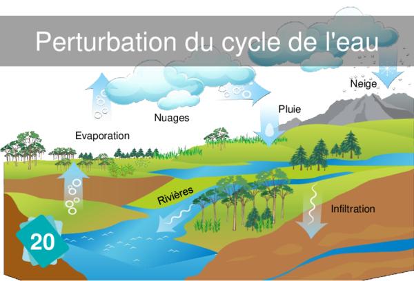 Perturbation du cycle de l'eau