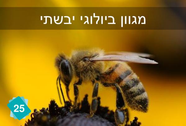 מגוון ביולוגי יבשתי