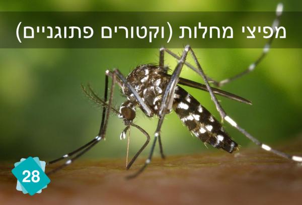 מגוון ביולוגי יבשתי