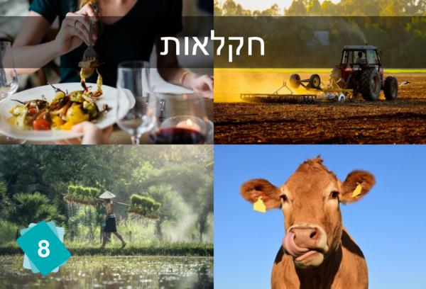 פעילויות אנושיות