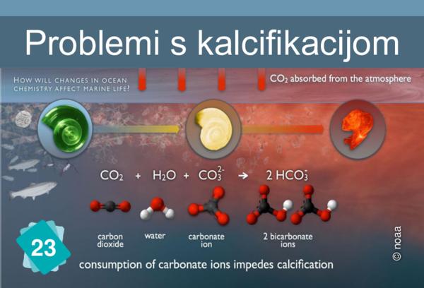 Problemi s kalcifikacijom