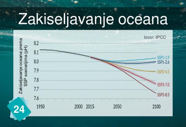 Zakiseljavanje oceana