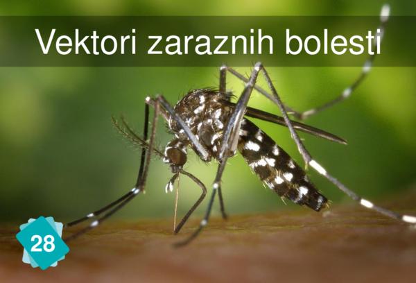 Vektori zaraznih bolesti