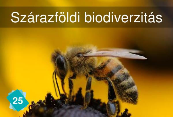 Szárazföldi biodiverzitás