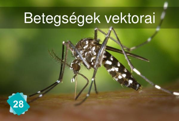 Szárazföldi biodiverzitás