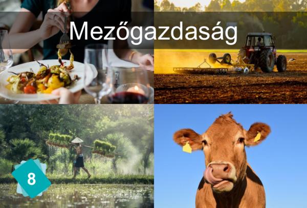 Mezőgazdaság