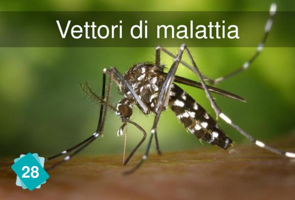 Vettori di malattia