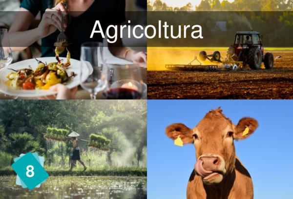 Agricoltura