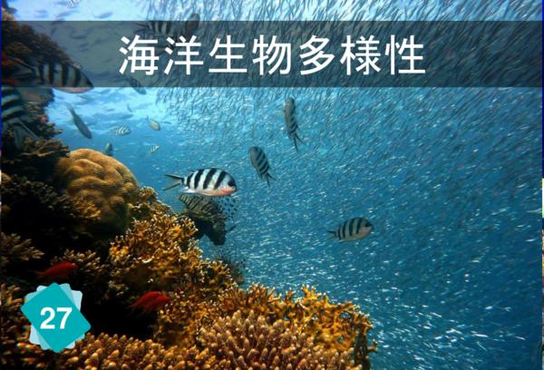 海洋生物多様性