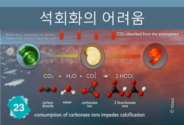 Ocean Acidification