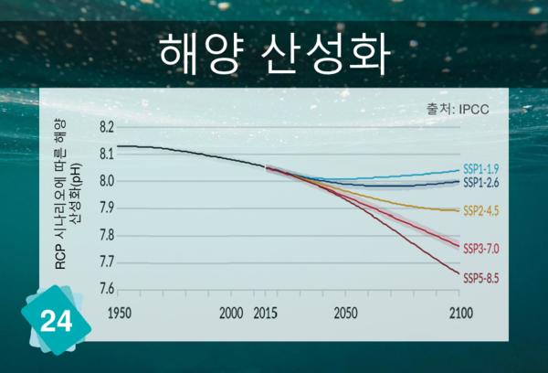 Ocean Acidification