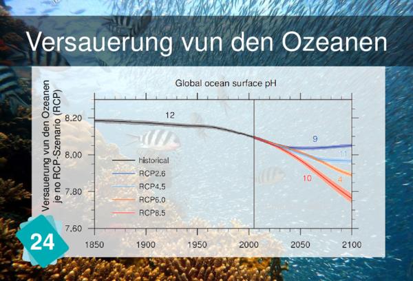 Versauerung vun den Ozeanen