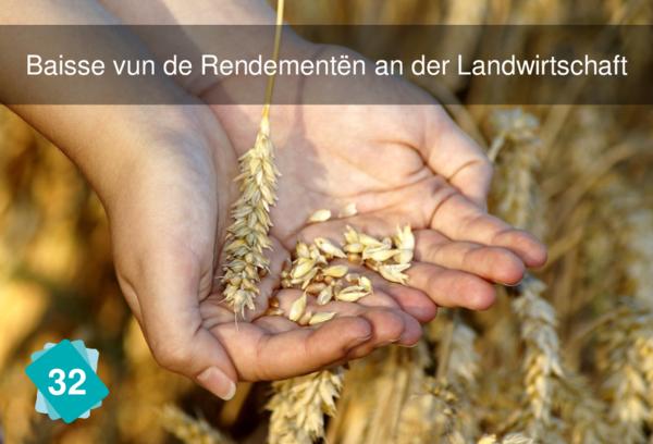 Baisse vun de Rendementën an der Landwirtschaft