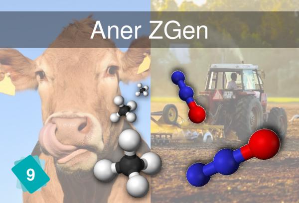 Aner ZGen