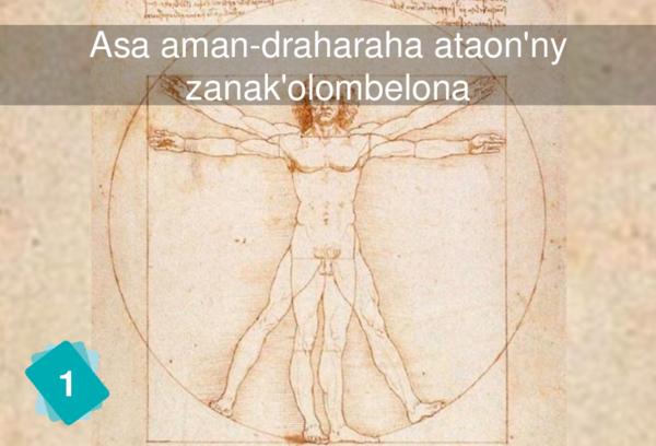 Asa aman-draharaha ataon'ny zanak'olombelona