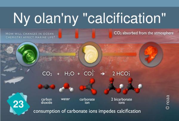 Ny olan'ny "calcification"