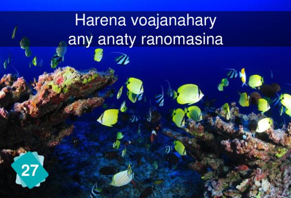 Harena voajanahary any anaty ranomasina